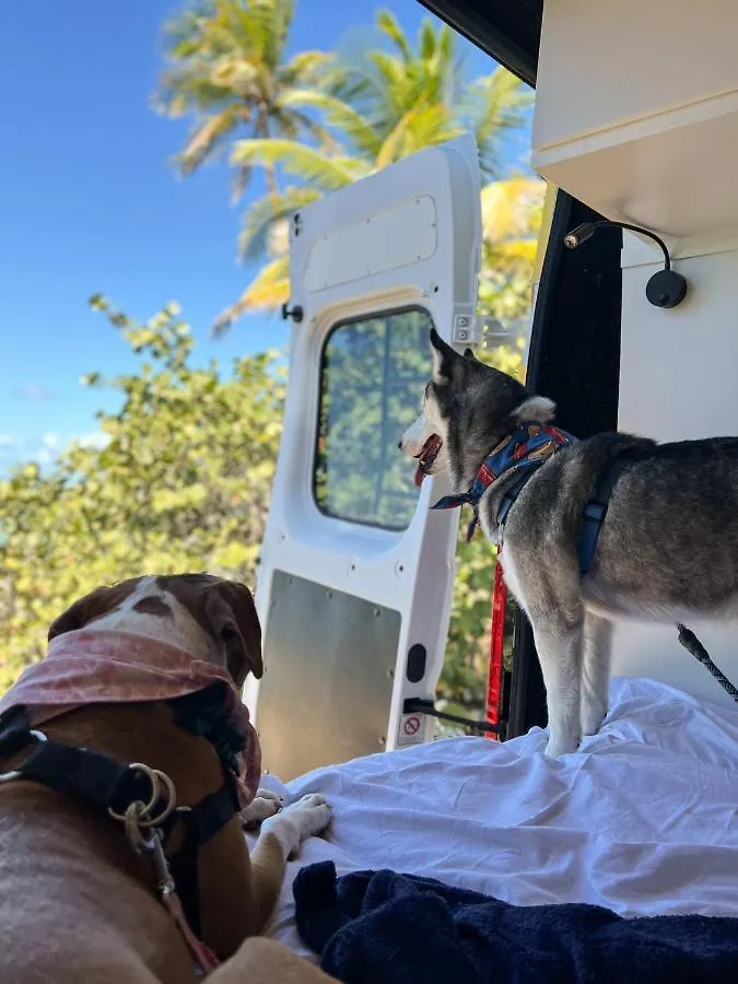 Discover Puerto Rico In Our Campervan Carlos By Van Del Sol San Juan 0*,